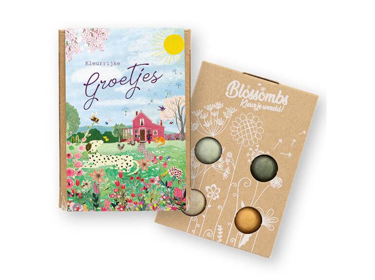 Blossombs giftbox mini | 4 zaadbommetjes | Roze Huis Blossombs Blossombs giftbox mini | 4 zaadbommetjes | Roze Huis