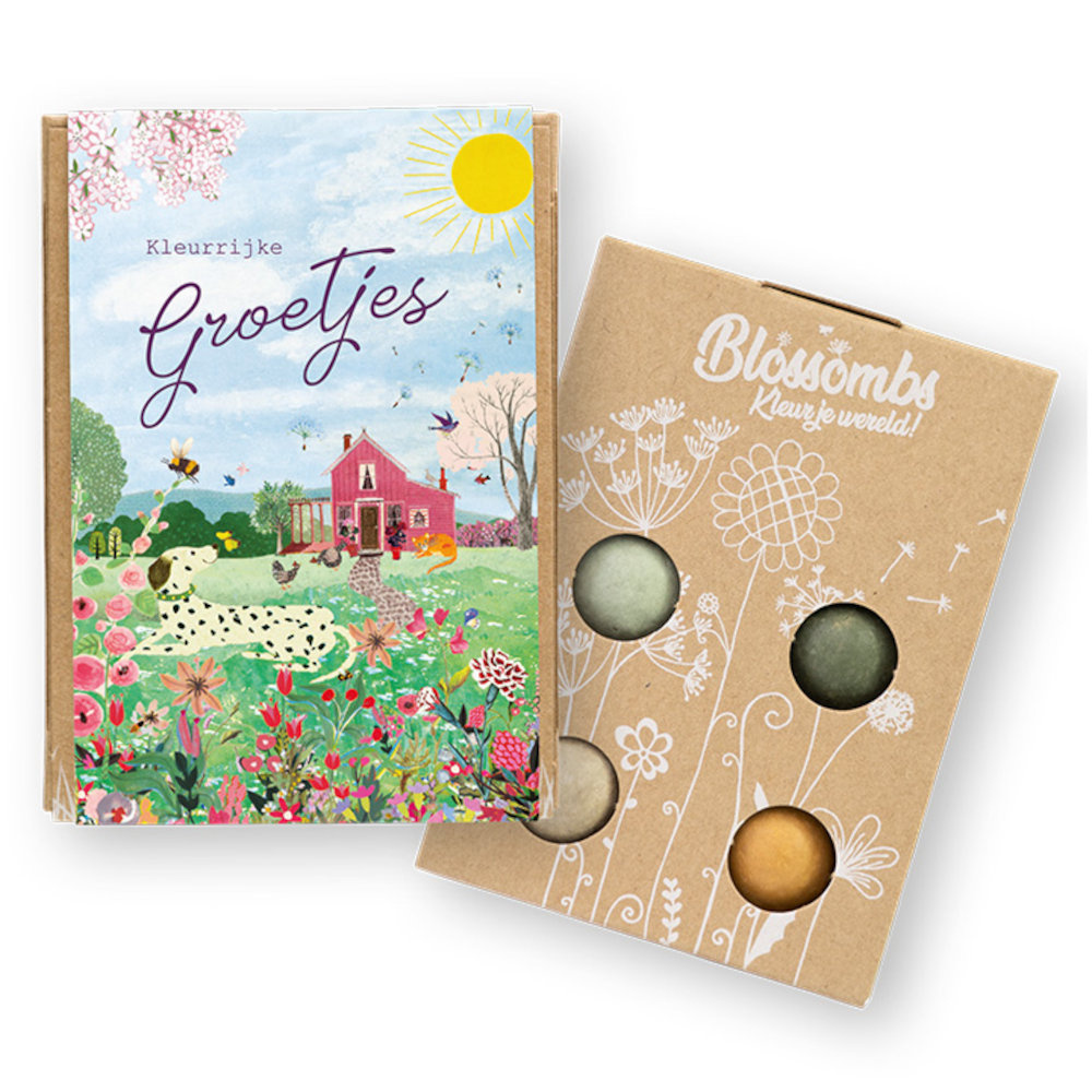 Blossombs Blossombs giftbox mini | 4 zaadbommetjes | Roze Huis