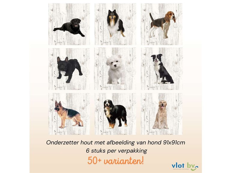 Toonbankdisplay onderzetters compleet - spreuken | 80 doosjes x 6st Creatief Art Toonbankdisplay onderzetters compleet - spreuken | 80 doosjes x 6st