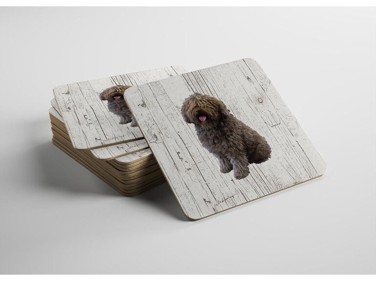 Toonbankdisplay onderzetters compleet - spreuken | 80 doosjes x 6st Creatief Art Toonbankdisplay onderzetters compleet - spreuken | 80 doosjes x 6st