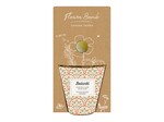 Blossombs Blossombs Kweekset - Herbs & Flowers Collectie - Verschillende Varianten