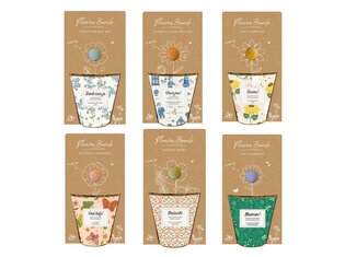 Blossombs Kweekset - Herbs & Flowers Collectie - Verschillende Varianten