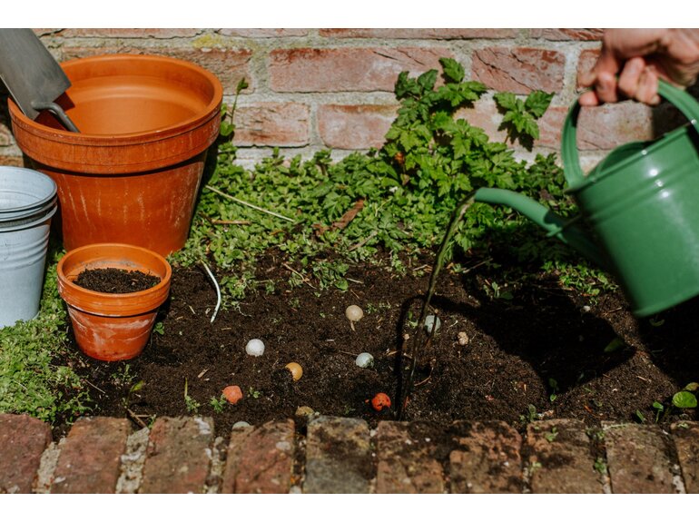 Blossombs Blossombs Giftbox Mini 4 Blossombs - Herbs & Flowers Collectie - verschillende varianten