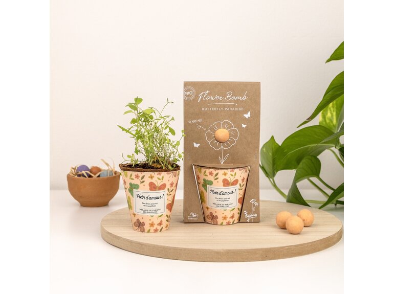 Blossombs Blossombs Kweekset - Herbs & Flowers Collectie - Verschillende Varianten