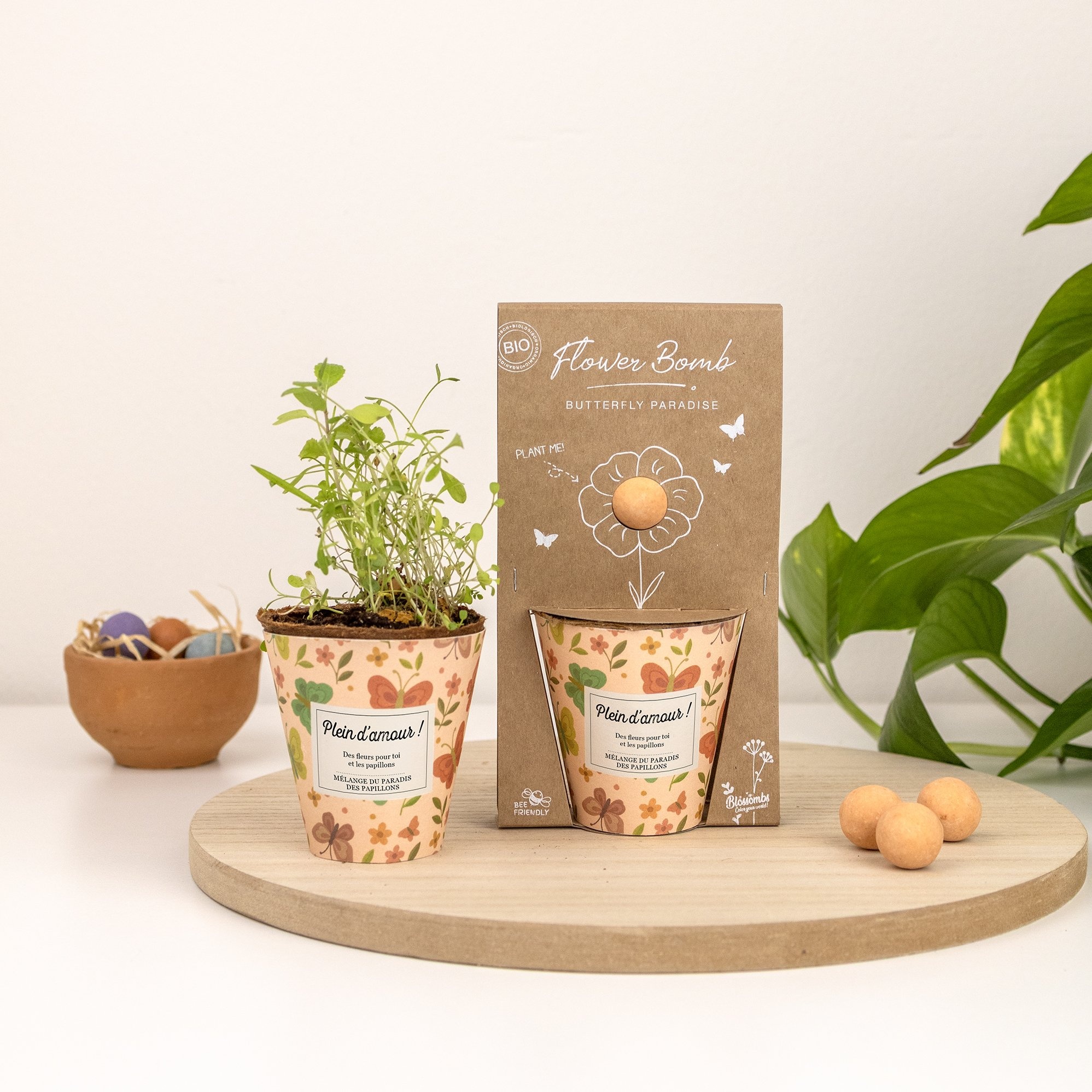 Blossombs Blossombs Kweekset - Herbs & Flowers Collectie - Verschillende Varianten, foto 4 van 6