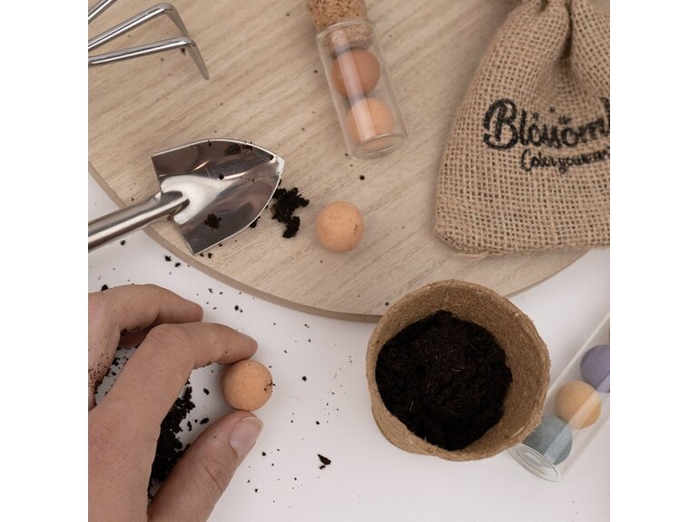 Blossombs Blossombs Kweekset - Herbs & Flowers Collectie - Verschillende Varianten