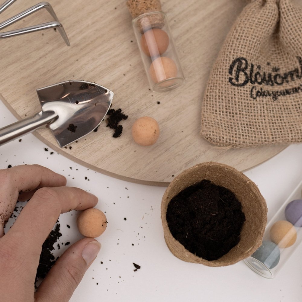 Blossombs Blossombs Kweekset - Herbs & Flowers Collectie - Verschillende Varianten, foto 5 van 6