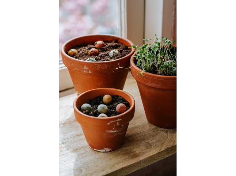 Blossombs Blossombs Giftbox Small 7 Blossombs - Herbs & Flowers Collectie - verschillende varianten