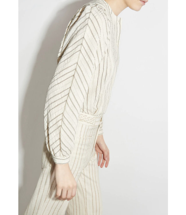 Masscob Paimpont parsley