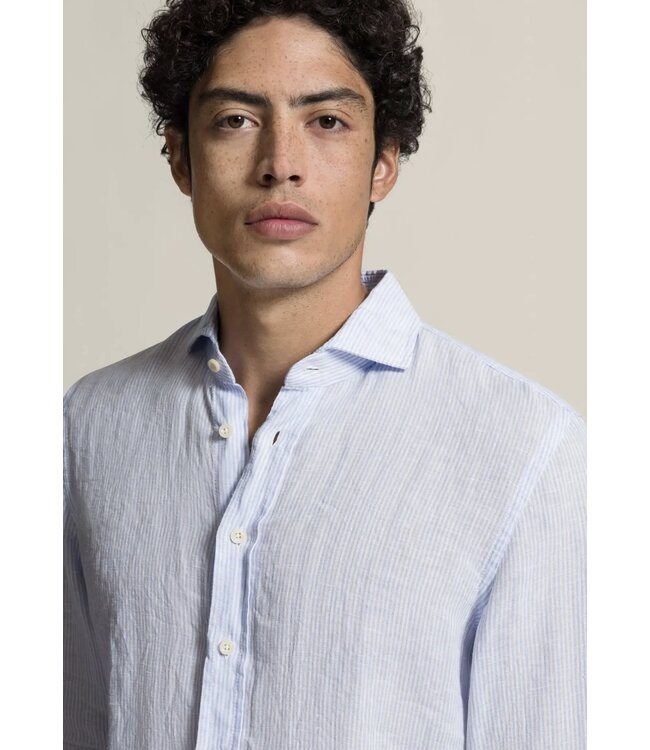 BLD-Hugh  blue stripe