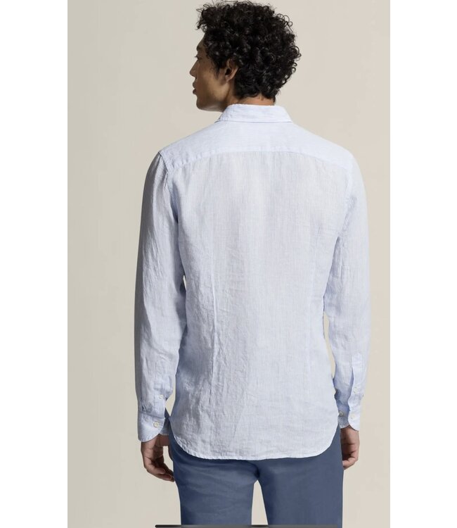 BLD-Hugh  blue stripe