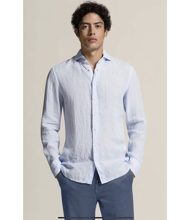 BLD-Hugh  blue stripe