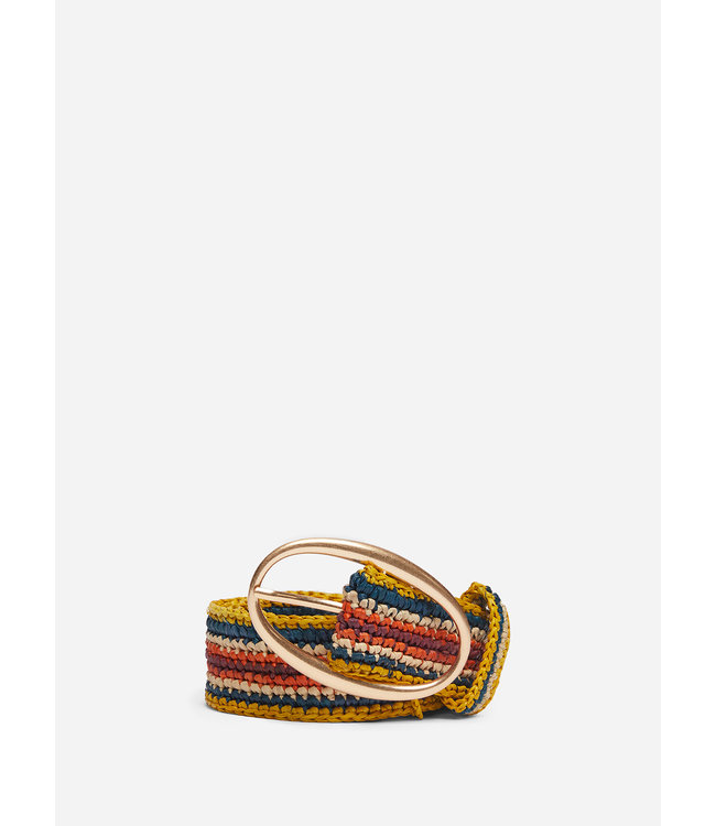 Vanessa Bruno Ceinture 35MM multicolore