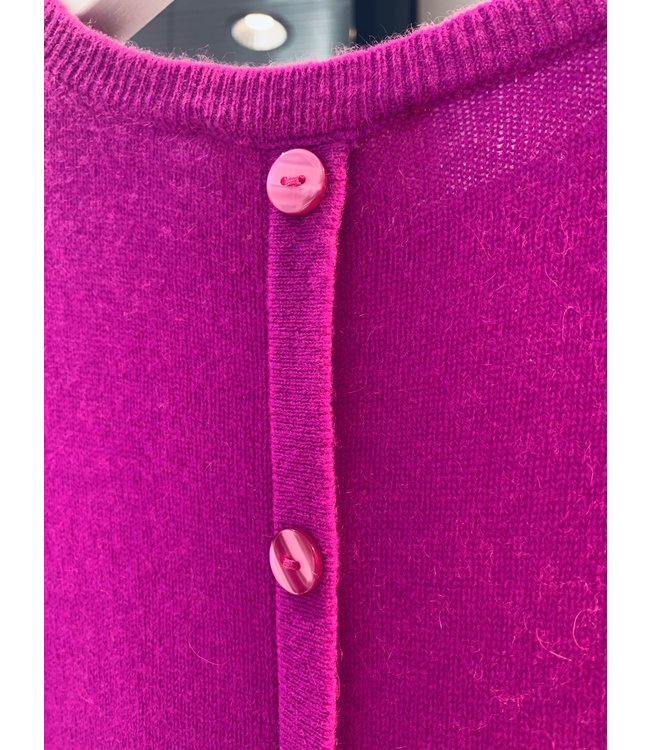 Absolut Cashmere Louise pull - violet fluo