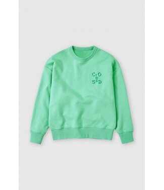 Closed Sweater crewneck 610 green kick