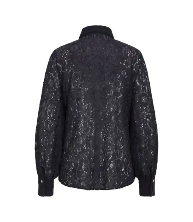 BetulaBBnarah deep blue