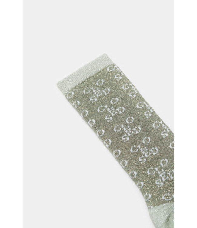 Closed Metallic Pastel Olive socks