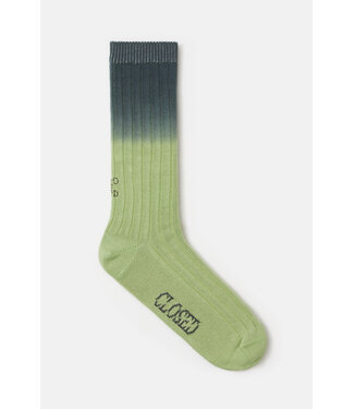 Closed Pini green ombre socks