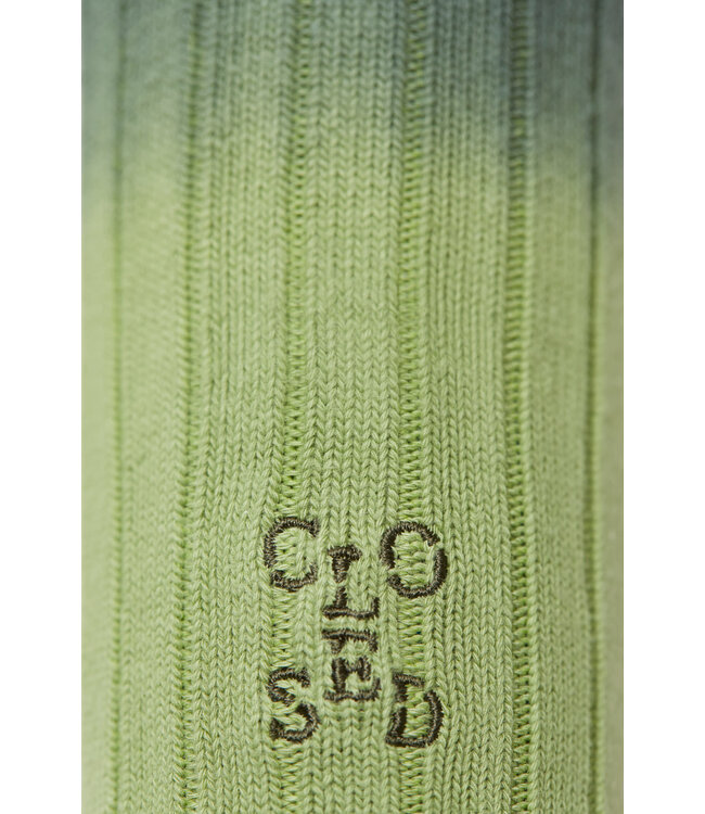 Closed Pini green ombre socks
