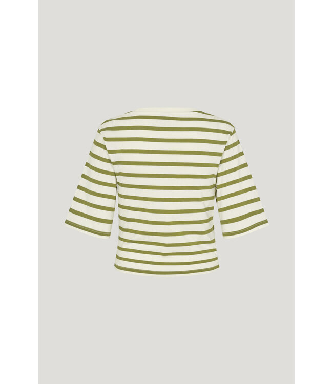 Baum und Pferdgarten Jayla top sphagnum whisper white