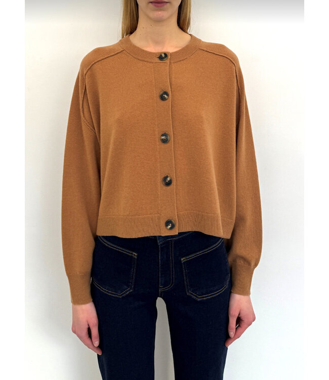 Vanessa Bruno Douve Camel Cardigan