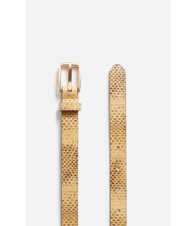 Vanessa Bruno Leather Belt Snake