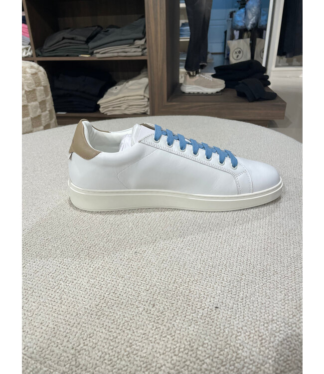 Sneakers Yellow Blue