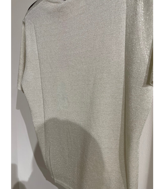 Absolut Cashmere Maria Shirt Platinium