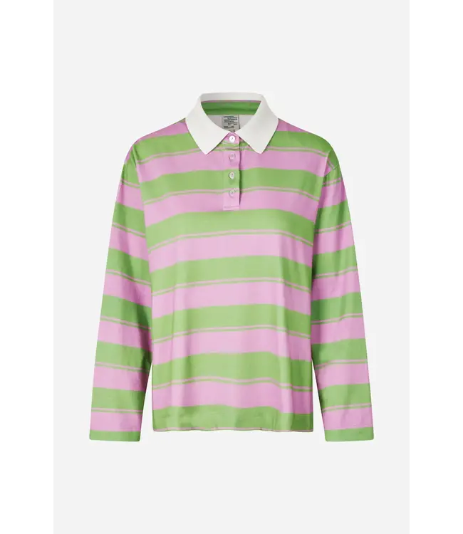 Baum und Pferdgarten Jeanne Polo Phalaenopsis Football