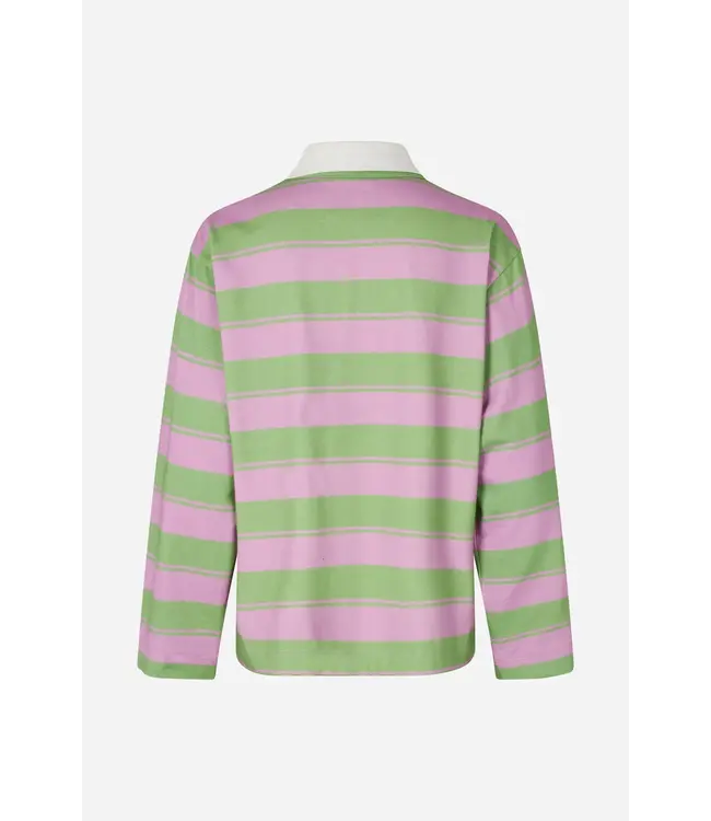 Baum und Pferdgarten Jeanne Polo Phalaenopsis Football