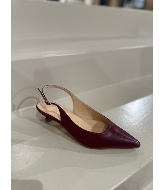 March 23 Joey Sunny Merlot Leather