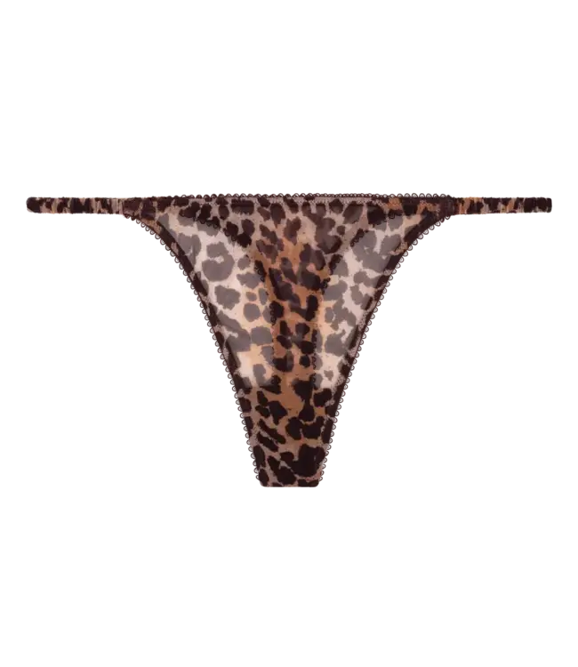 Love Stories Roomie Elegant String Leopard