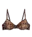 Love Stories Romeo Elegant Wired Bra