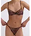 Love Stories Romeo Elegant Wired Bra
