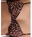 Love Stories Romeo Elegant Wired Bra