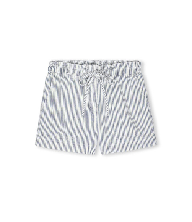 Rails Foster Short Indigo Railroad Stripe