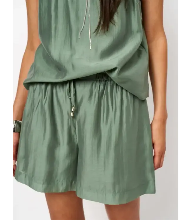 Dante 6 Quintyn Relaxed Fit Short Groen