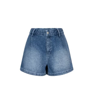 Dante 6 Flynn Stone Denim Short