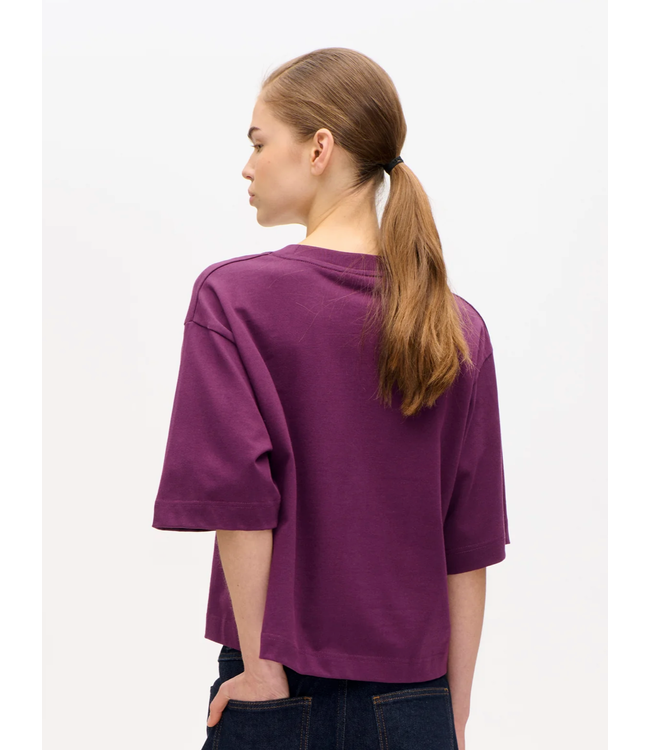 Baum und Pferdgarten Jiana Italian Plum