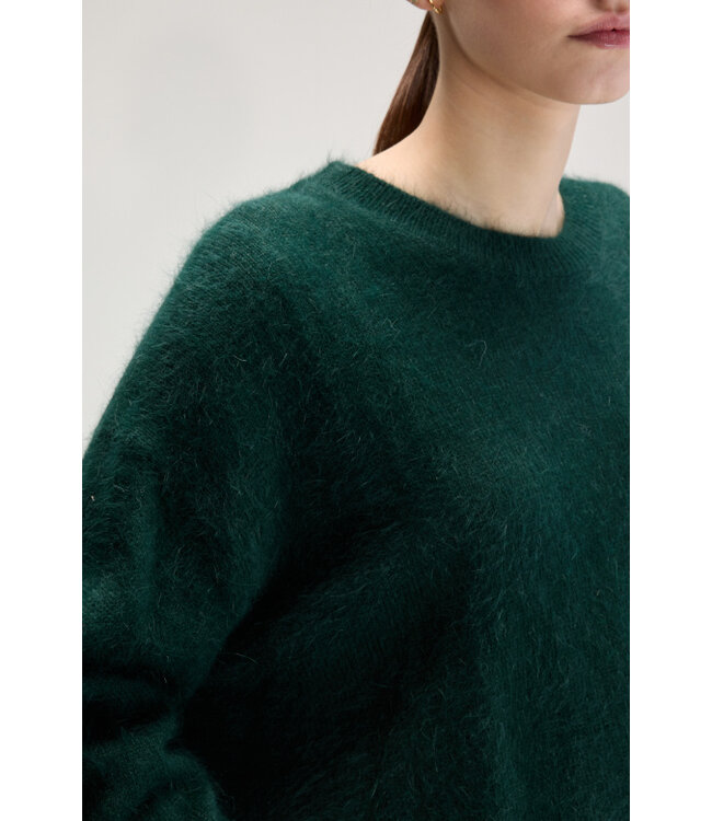 Bellerose Datus knitwear kombu