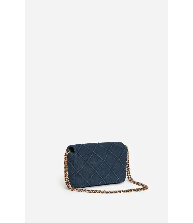 Vanessa Bruno moon bag denim
