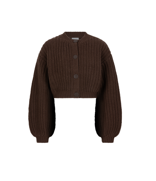 Dante 6 Zinnia Chunkey Wool Cardigan Brown