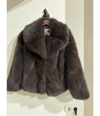 Alter Ego Novi Jacket Dark Brown