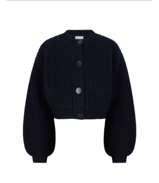 Dante 6 Zinnia Chunkey Wool Cardigan Blue