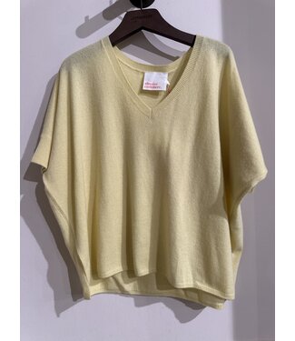 Absolut Cashmere Kate V Banana