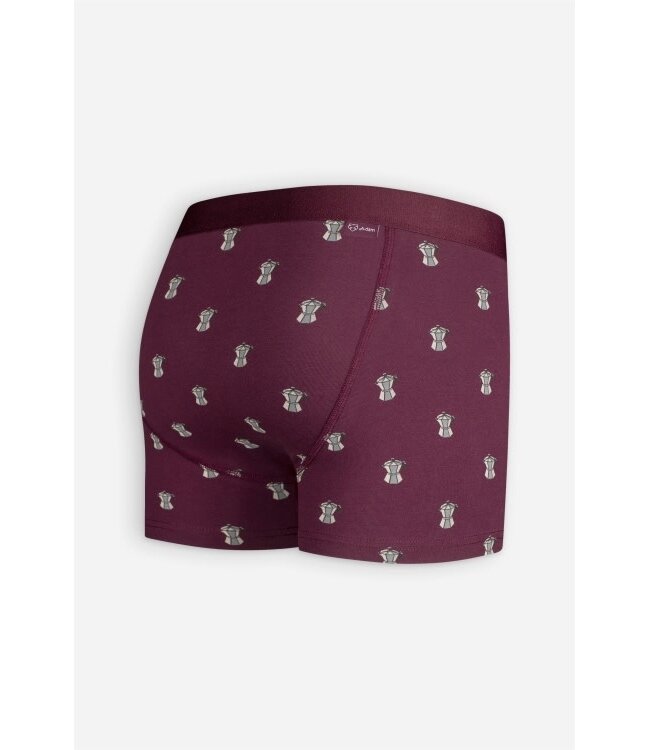 A-dam Boxer Brief Burgundy Percolator