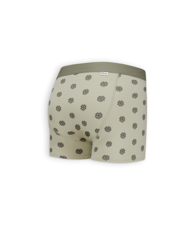 A-dam Boxer Brief Sage Lucky Boxer