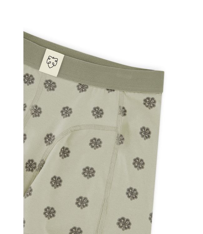 A-dam Boxer Brief Sage Lucky Boxer