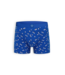 A-dam Boxer Brief Blue Baseballs AOP