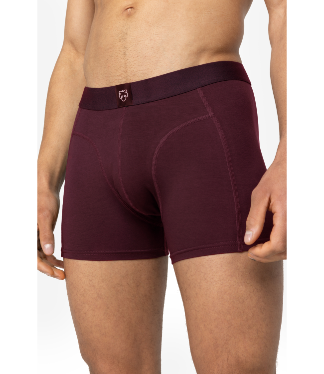 A-dam Boxer Brief 3P Bruno